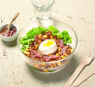 Salade Lentille&Oeuf Poché